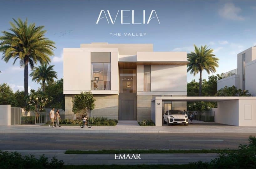 Avelia-the-Valley